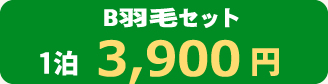 冬用Bセット1泊2,990円